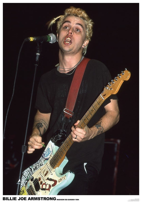 Green Day 1994 Concert